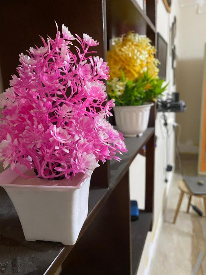 Jawai Bagpackers Hostel Sheoganj 外观 照片